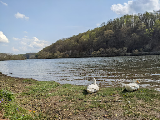 Monacan Park 20250727 000019 005