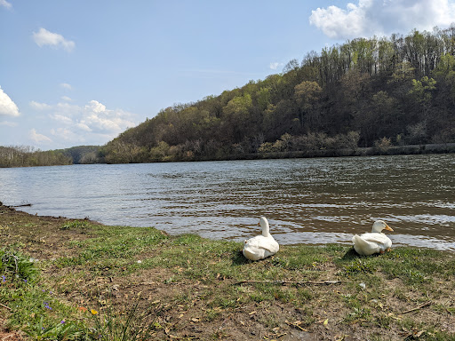 Monacan Park 20250727 000019 006