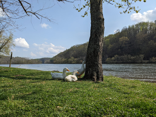 Monacan Park 20250727 000020 007