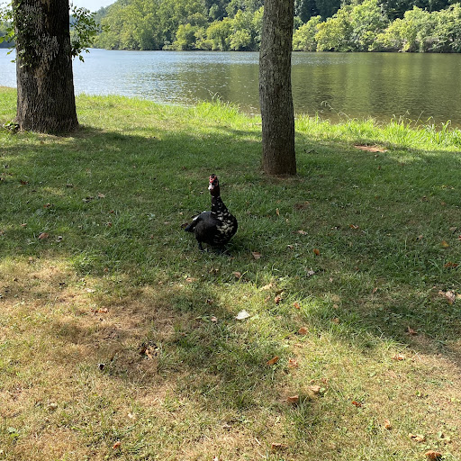 Monacan Park 20250727 000024 012