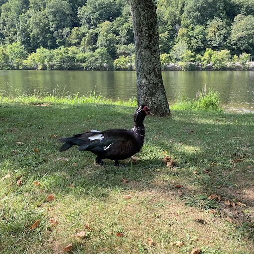 Monacan Park 20250727 000025 013