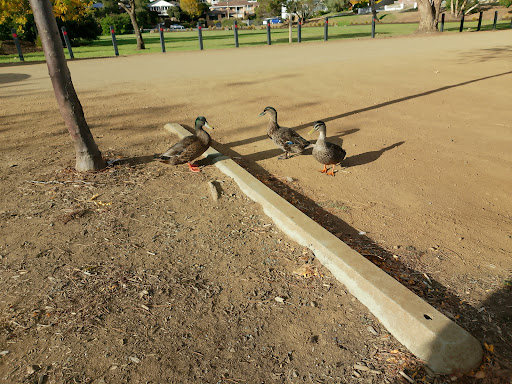 Montagu Bay Reserve 20250824 000042 001