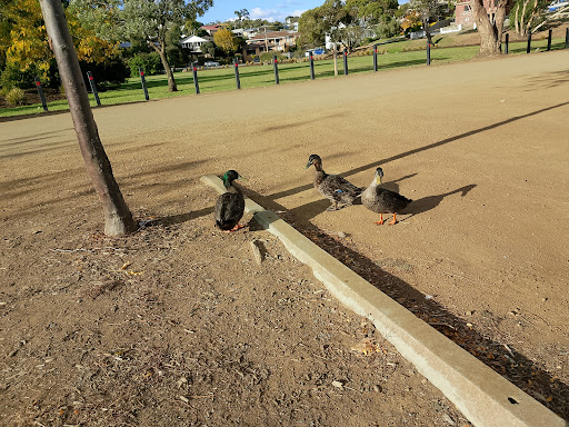 Montagu Bay Reserve 20250824 000043 002