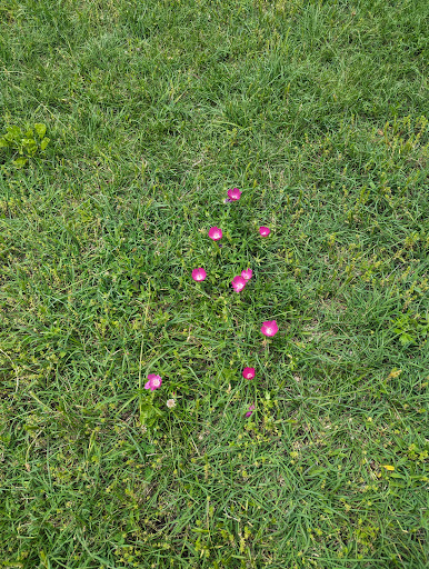 Moon Lake Playground and Picnic Pavilion 20250727 010238 006