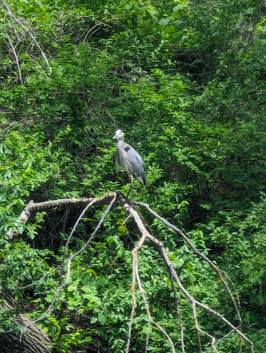 Moon Lake Playground and Picnic Pavilion 20250727 010239 007