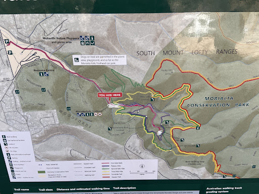 Morialta Play Tree 20250824 013514 001