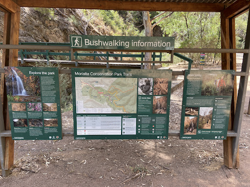 Morialta Play Tree 20250824 013515 002