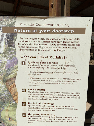 Morialta Play Tree 20250824 013515 003