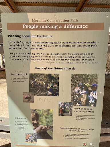 Morialta Play Tree 20250824 013516 004