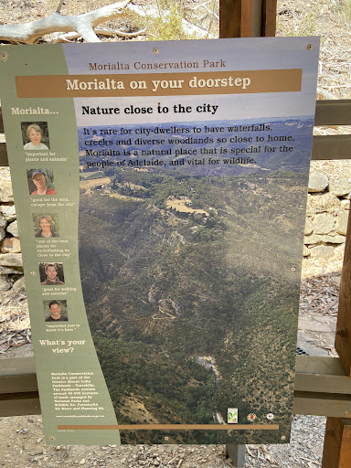 Morialta Play Tree 20250824 013517 005