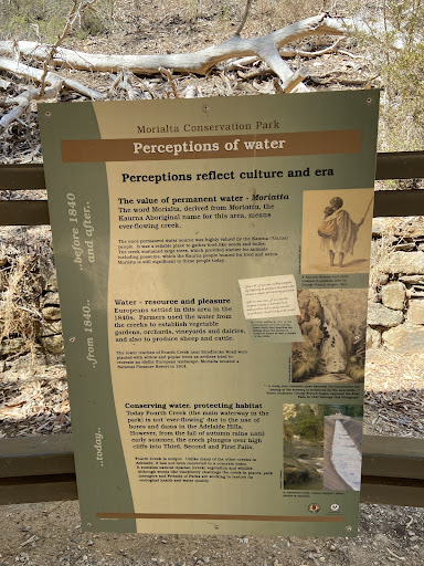 Morialta Play Tree 20250824 013518 006