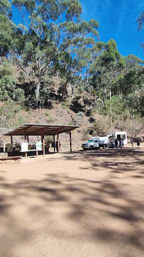 Morialta Play Tree 20250824 013525 014