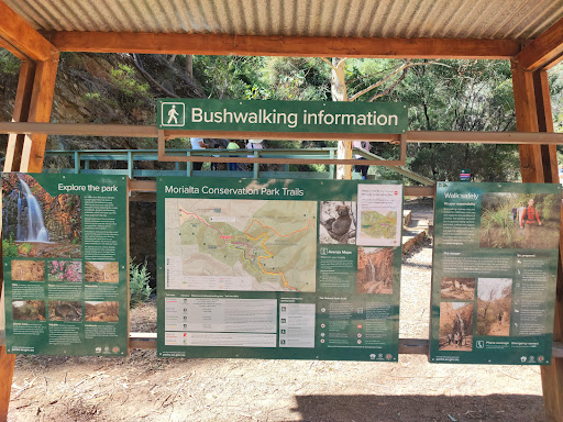 Morialta Play Tree 20250824 013525 015