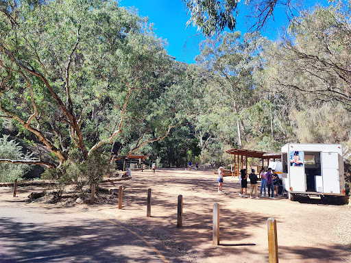 Morialta Play Tree 20250824 013527 017