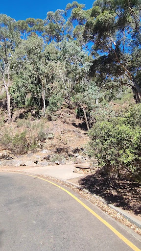 Morialta Play Tree 20250824 013529 019