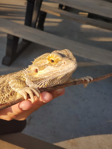 Moriches Sports Complex Playground Rubber Mat 20250727 043740 002