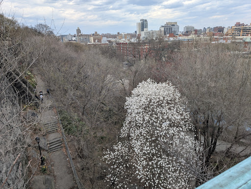 Morningside Park 20250727 105607 003