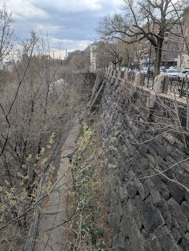 Morningside Park 20250727 105609 005