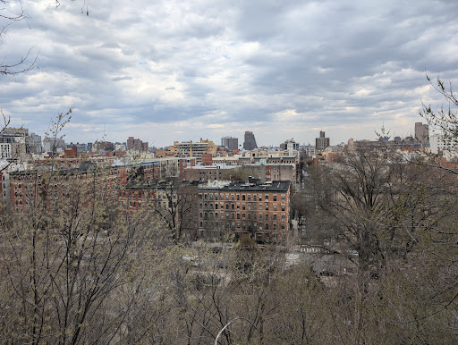 Morningside Park 20250727 105610 006