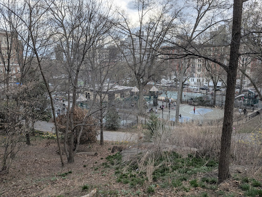 Morningside Park 20250727 105618 014