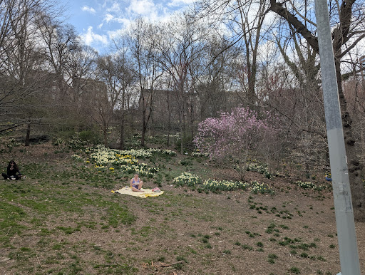 Morningside Park 20250727 105620 016