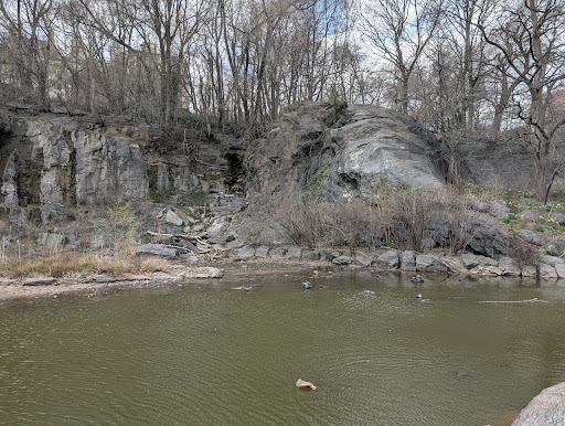 Morningside Park 20250727 105623 019