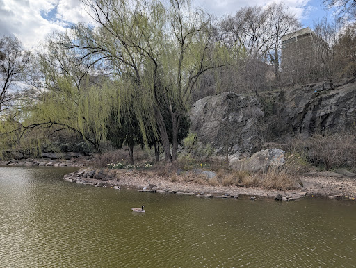 Morningside Park 20250727 105624 020