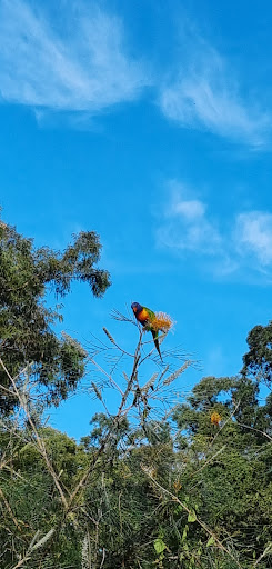 Mount Gravatt Park 20250824 022808 008