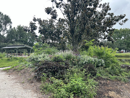 Mulberry Park and Food Forest 20250726 195825 001