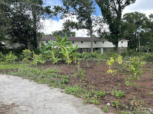 Mulberry Park and Food Forest 20250726 195825 002