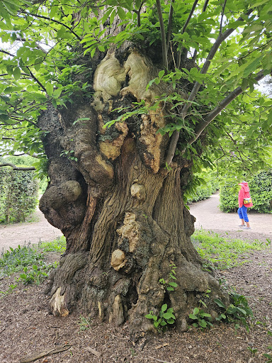 National Trust Wentworth Castle Gardens 20250808 163906 001