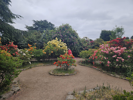 National Trust Wentworth Castle Gardens 20250808 163909 004