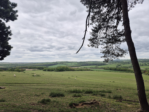 National Trust Wentworth Castle Gardens 20250808 163919 016