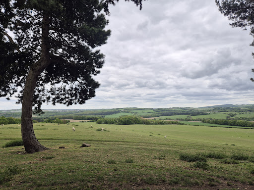 National Trust Wentworth Castle Gardens 20250808 163920 017