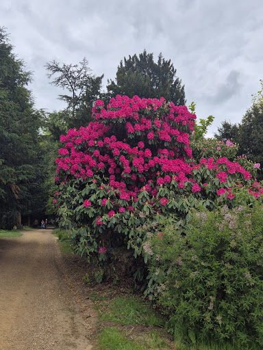National Trust Wentworth Castle Gardens 20250808 163921 018