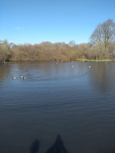 Neatherd Play Park 20250808 172632 018