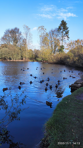 Neatherd Play Park 20250808 172634 020