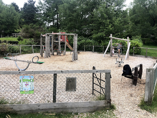 Nethy Bridge Playground 20250808 145441 001
