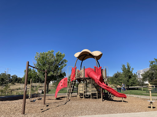 Nettie Moore Playground 20250727 121120 001