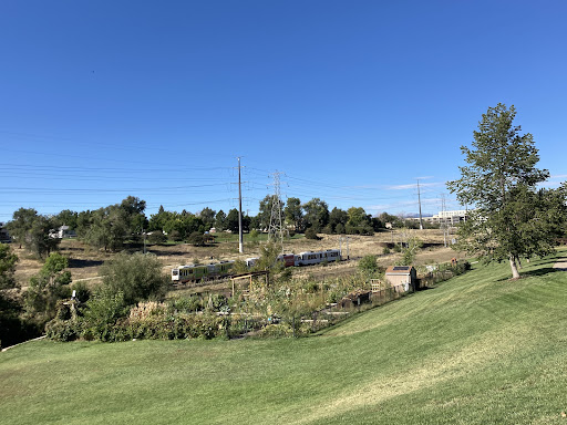 Nettie Moore Playground 20250727 121124 006