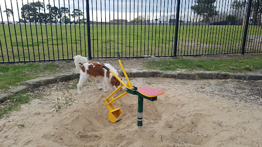 Noble Street Playground 20250823 235950 004