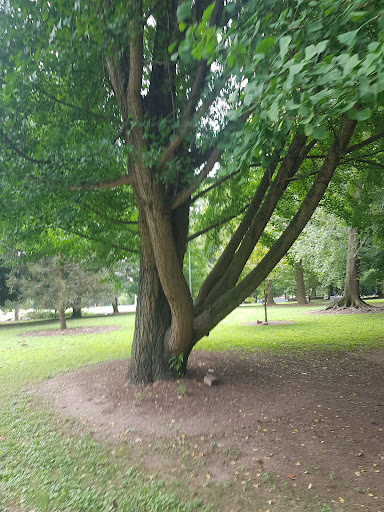 Noguchi Playscape 20250727 101420 007