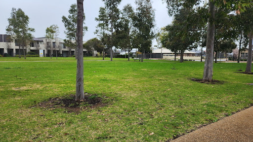 Nolan Reserve Playground 20250824 040542 006