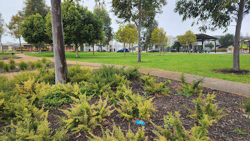 Nolan Reserve Playground 20250824 040542 007