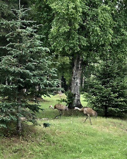 North Peninsula Recreation Service Area 20250727 094421 002