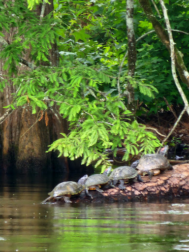 North Toledo Bend State Park 20250726 190254 002