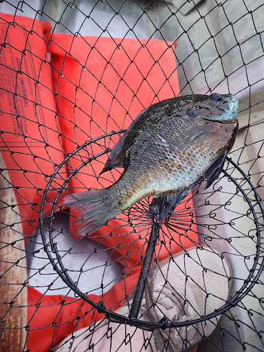 North Toledo Bend State Park 20250726 190255 003