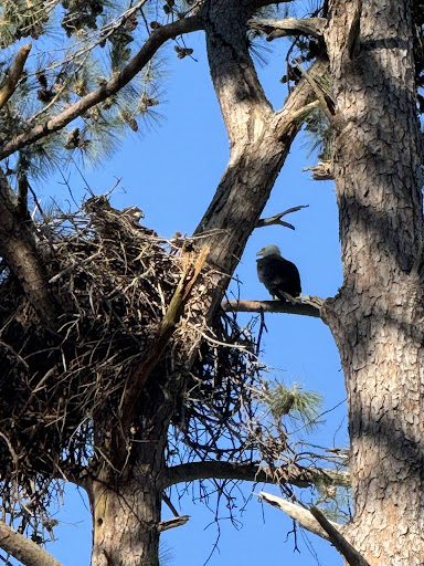 North Toledo Bend State Park 20250726 190300 009