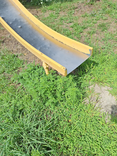 North and Middle Ward Playground 20250727 042335 001