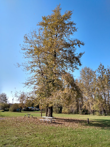 Nunaka Valley Park North 20250727 095246 001